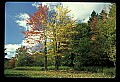 02121-00005-West Virginia Fall Color.jpg