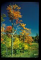 02121-00006-West Virginia Fall Color.jpg