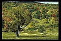 02121-00011-West Virginia Fall Color.jpg