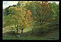 02121-00014-West Virginia Fall Color.jpg
