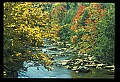 02121-00015-West Virginia Fall Color.jpg