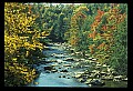 02121-00016-West Virginia Fall Color.jpg