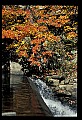 02121-00037-West Virginia Fall Color.jpg