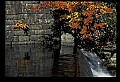 02121-00040-West Virginia Fall Color.jpg