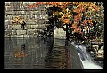 02121-00041-West Virginia Fall Color.jpg