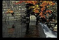 02121-00043-West Virginia Fall Color.jpg