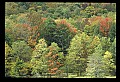 02121-00048-West Virginia Fall Color.jpg