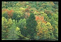 02121-00057-West Virginia Fall Color.jpg