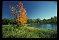 02121-00061-West Virginia Fall Color.jpg