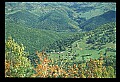 02121-00063-West Virginia Fall Color.jpg