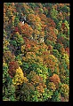 02121-00065-West Virginia Fall Color.jpg