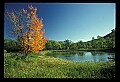 02121-00067-West Virginia Fall Color.jpg