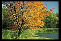 02121-00068-West Virginia Fall Color.jpg