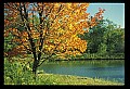 02121-00070-West Virginia Fall Color.jpg