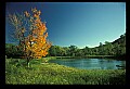 02121-00071-West Virginia Fall Color.jpg