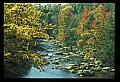 02121-00072-West Virginia Fall Color.jpg