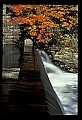 02121-00073-West Virginia Fall Color.jpg