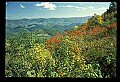 02121-00076-West Virginia Fall Color.jpg