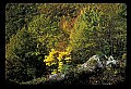 02121-00077-West Virginia Fall Color.jpg