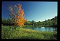 02121-00080-West Virginia Fall Color.jpg