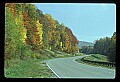 02121-00081-West Virginia Fall Color.jpg