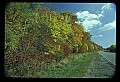 02121-00084-West Virginia Fall Color.jpg