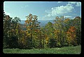 02121-00094-West Virginia Fall Color.jpg
