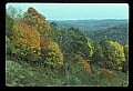 02121-00096-West Virginia Fall Color.jpg