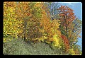 02121-00098-West Virginia Fall Color.jpg
