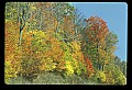 02121-00100-West Virginia Fall Color.jpg