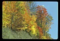 02121-00101-West Virginia Fall Color.jpg
