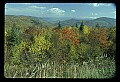 02121-00105-West Virginia Fall Color.jpg