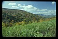 02121-00108-West Virginia Fall Color.jpg