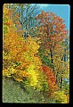 02121-00125-West Virginia Fall Color.jpg