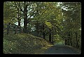02121-00132-West Virginia Fall Color.jpg