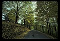 02121-00133-West Virginia Fall Color.jpg