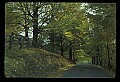 02121-00135-West Virginia Fall Color.jpg