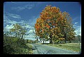 02121-00139-West Virginia Fall Color.jpg