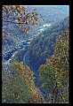 02121-00140-West Virginia Fall Color.jpg