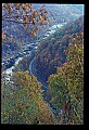 02121-00141-West Virginia Fall Color.jpg