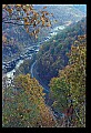 02121-00142-West Virginia Fall Color.jpg