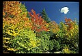 02121-00144-West Virginia Fall Color.jpg