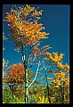 02121-00145-West Virginia Fall Color.jpg