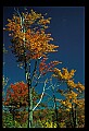 02121-00146-West Virginia Fall Color.jpg