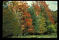 02121-00149-West Virginia Fall Color.jpg
