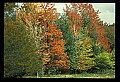 02121-00150-West Virginia Fall Color.jpg