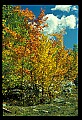 02121-00155-West Virginia Fall Color.jpg