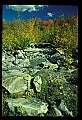 02121-00157-West Virginia Fall Color.jpg