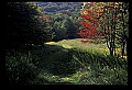 02121-00160-West Virginia Fall Color.jpg