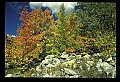 02121-00162-West Virginia Fall Color.jpg